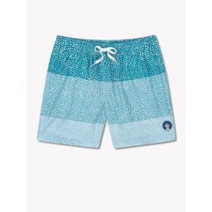 Chubbies Classic Swim 5.5" Trunks, The Whale Sharks, Blue Stripe with Spots, M